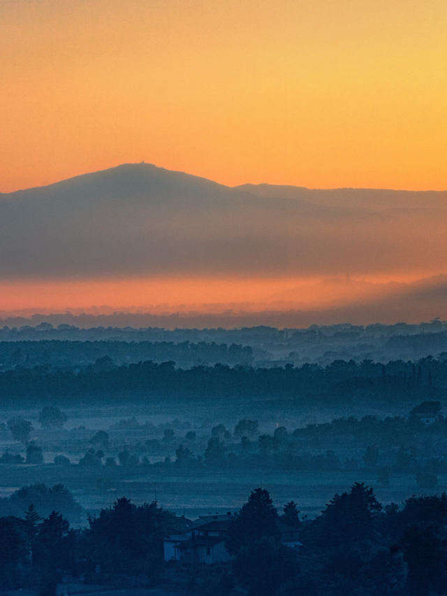 6 Frases de Bom Dia para Status