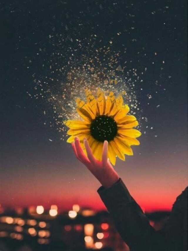 Frases Tumblr para Bio do Instagram