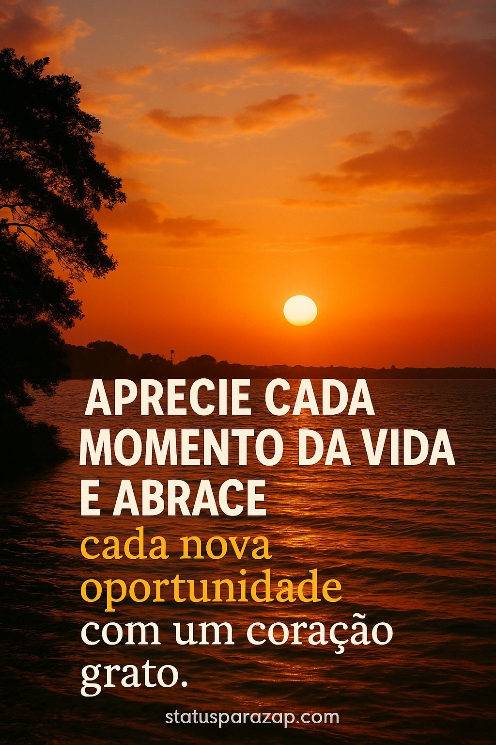 Imagem do status