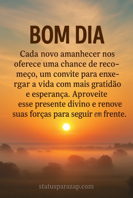 Imagem do status