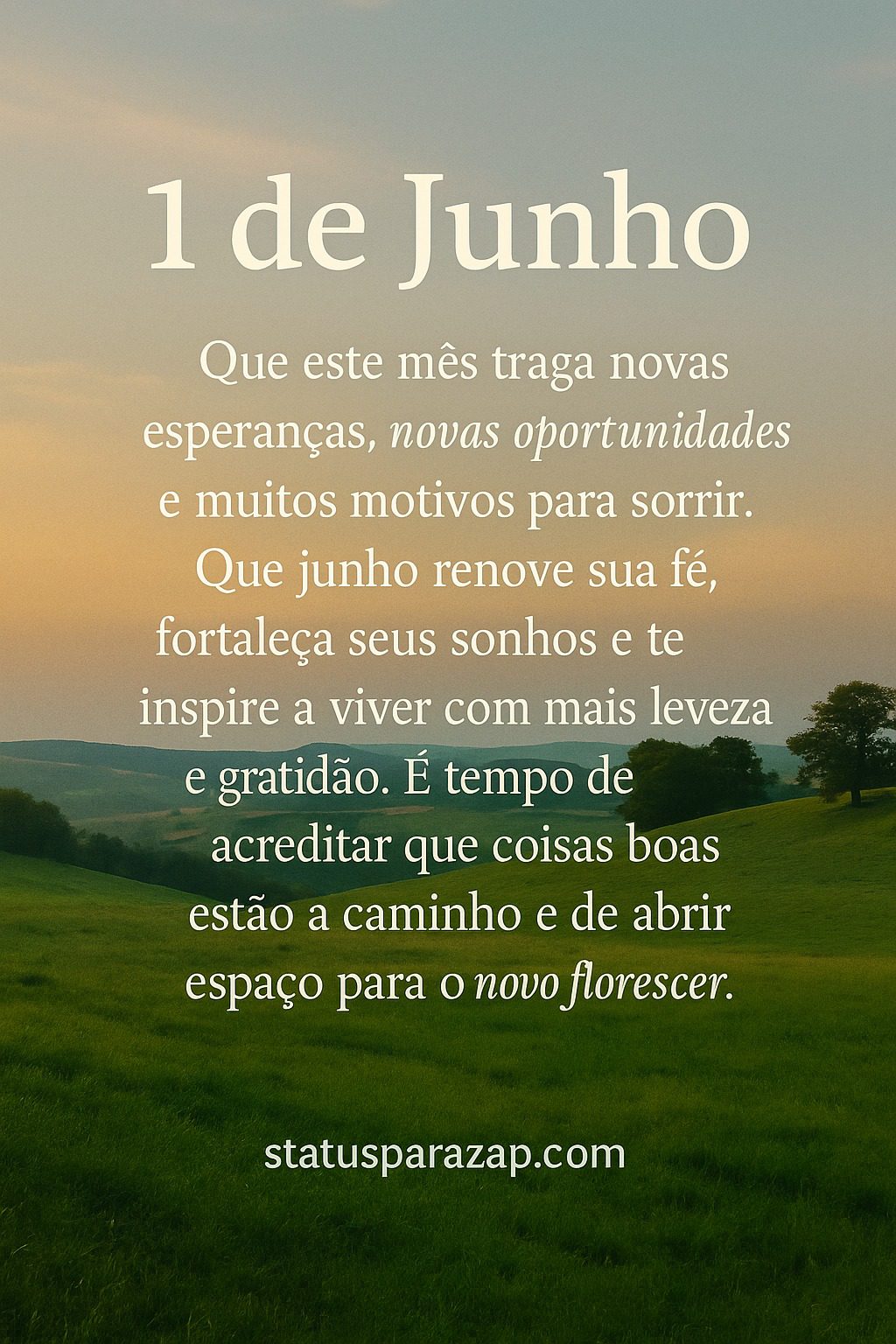 Imagem do status